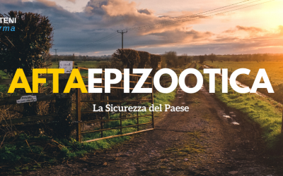 afta epizootica: informazioni