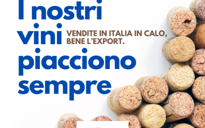 Export vino italiano: il nostro vino piace sempre