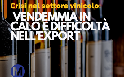 Crisi nel Settore Vinicolo Italiano: Vendemmia in Calo e Difficoltà nell’Export