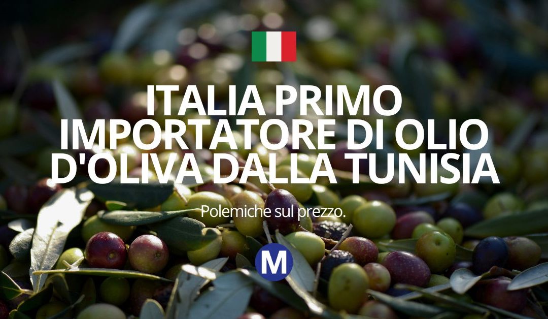 Italia primo importatore di olio d'oliva dalla Tunisia: polemiche sul prezzo